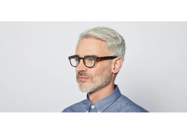 #C Reading Glasses - Tortoise