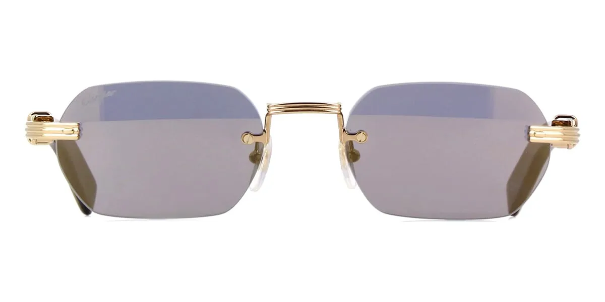 Cartier Buffalo Horn CT0362S 003 6D5