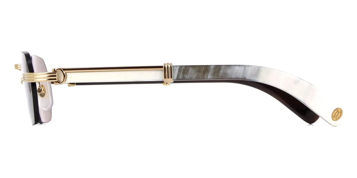 Cartier Buffalo Horn CT0362S 003 6D5