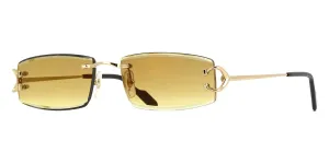 Cartier CT0465S 004