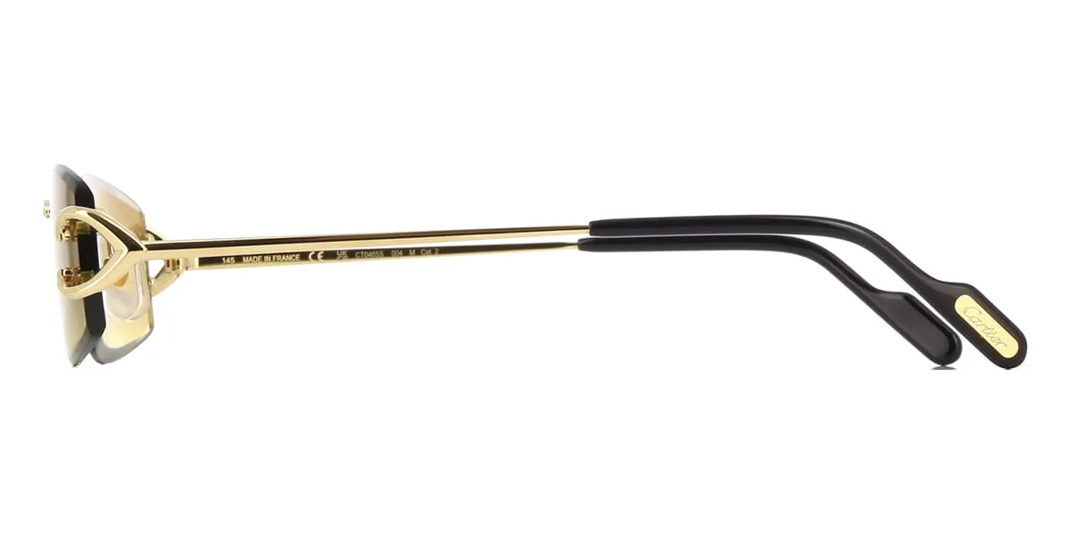 Cartier CT0465S 004