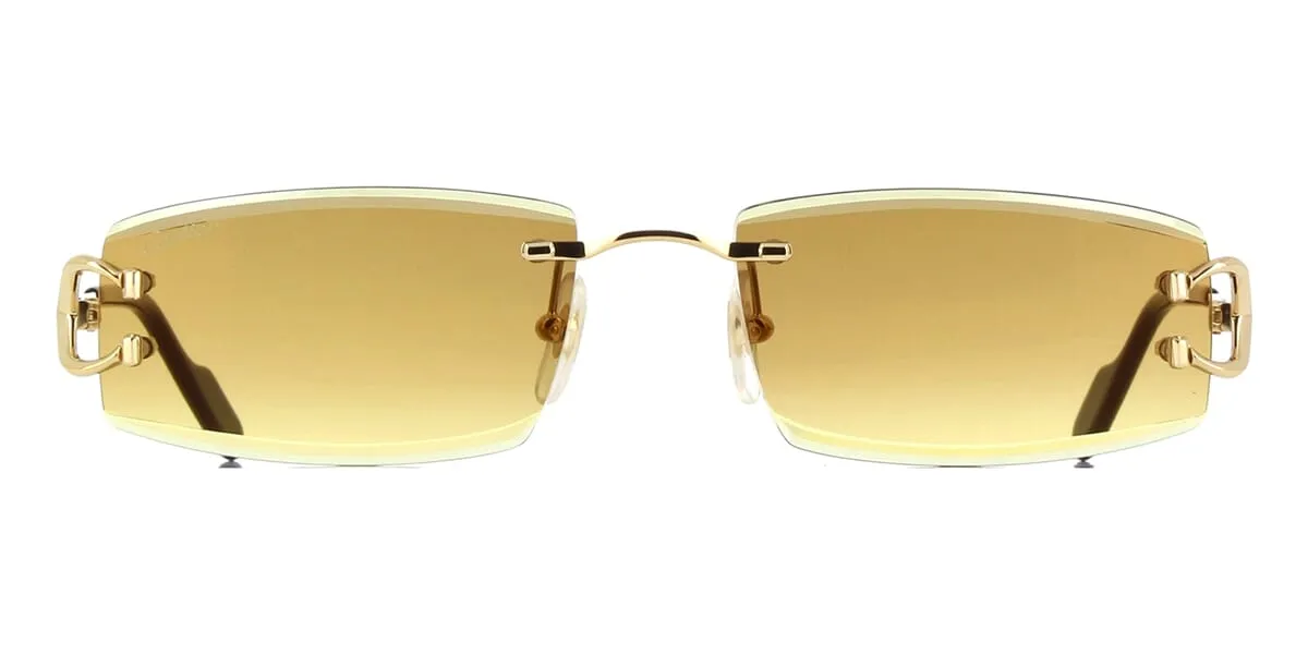 Cartier CT0465S 004