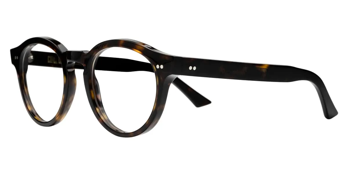 Cutler and Gross 1378 05 Dusky Turtle with Blue Control