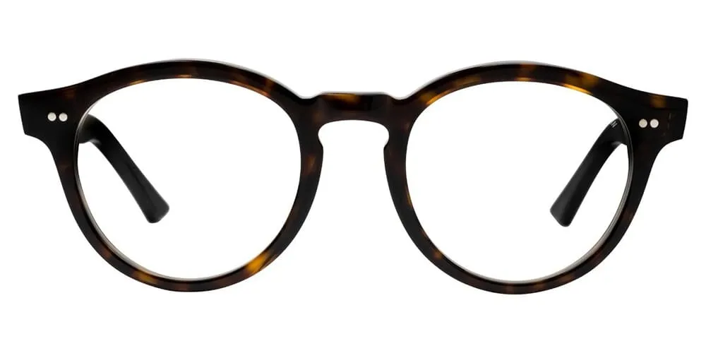 Cutler and Gross 1378 05 Dusky Turtle with Blue Control