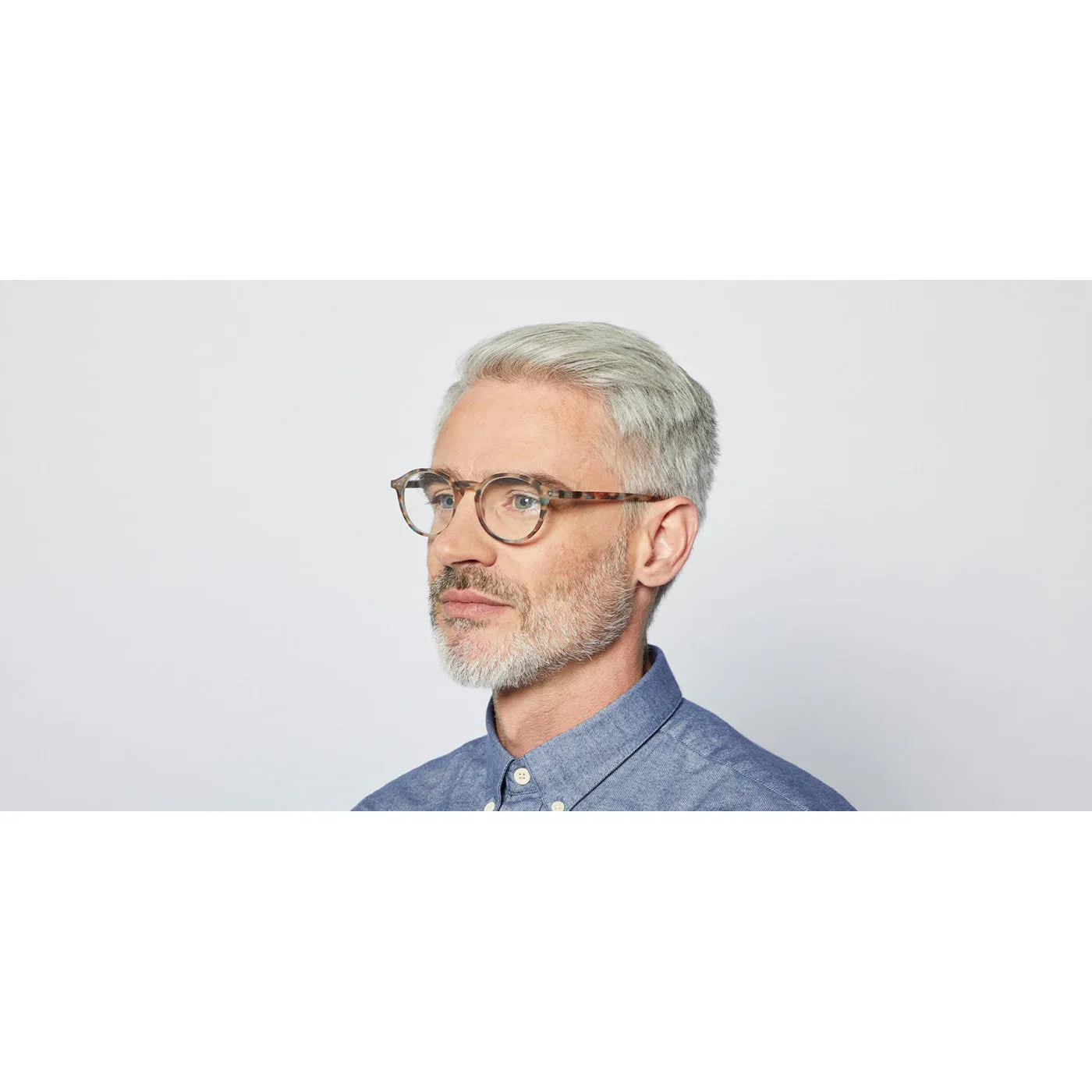 #D Reading Glasses - Blue Tortoise