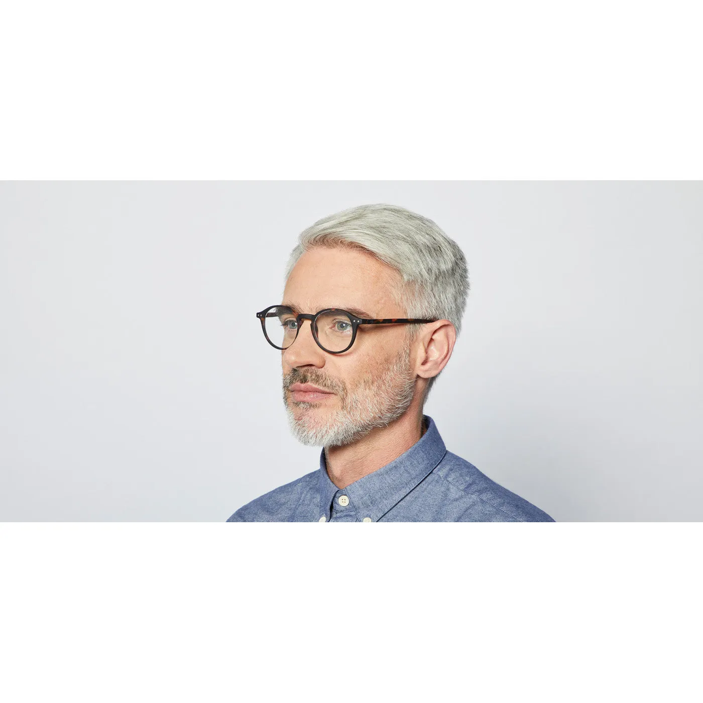 #D Reading Glasses - Tortoise
