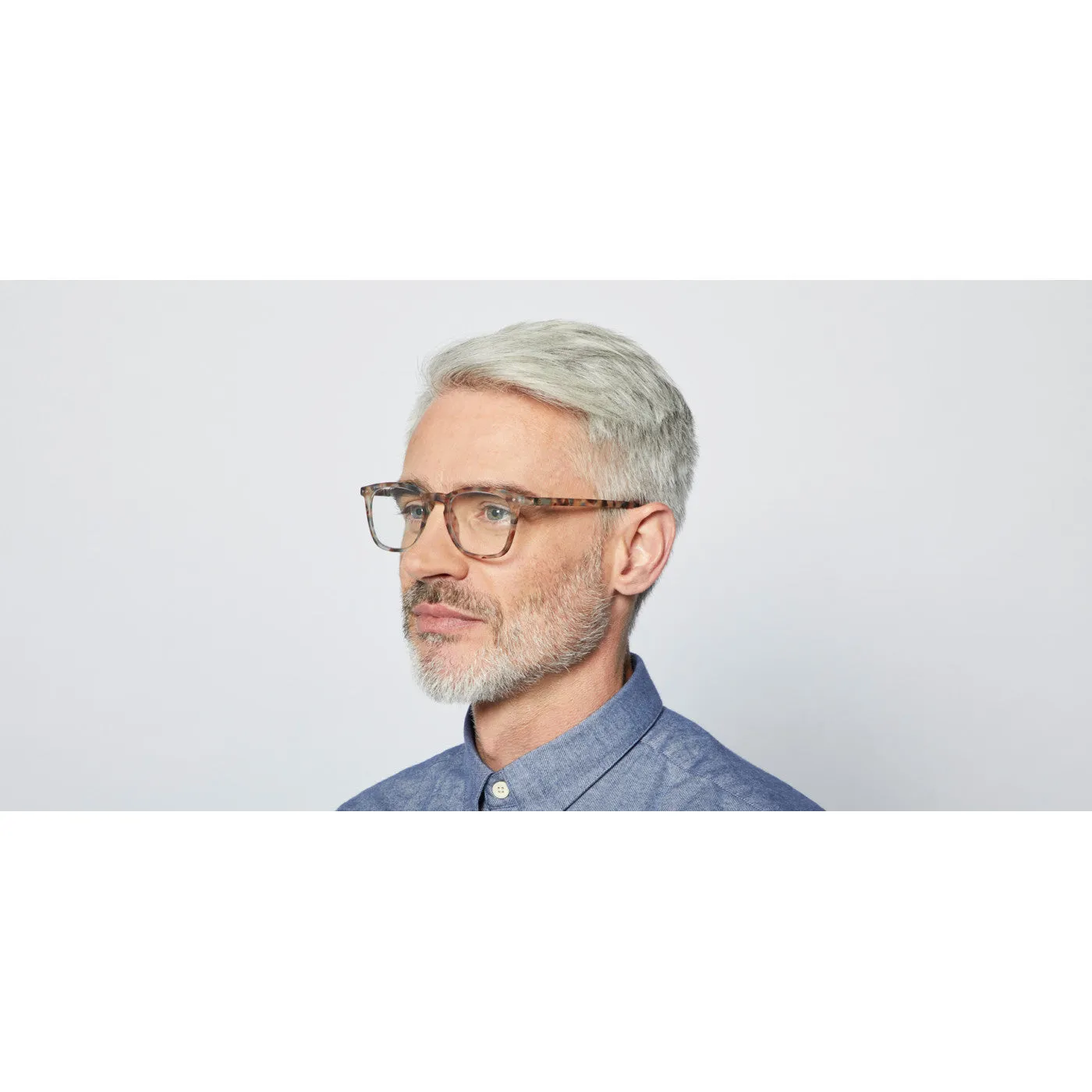 #E Reading Glasses - Blue Tortoise