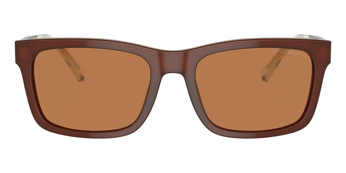 Emporio Armani EA4224 6095/73
