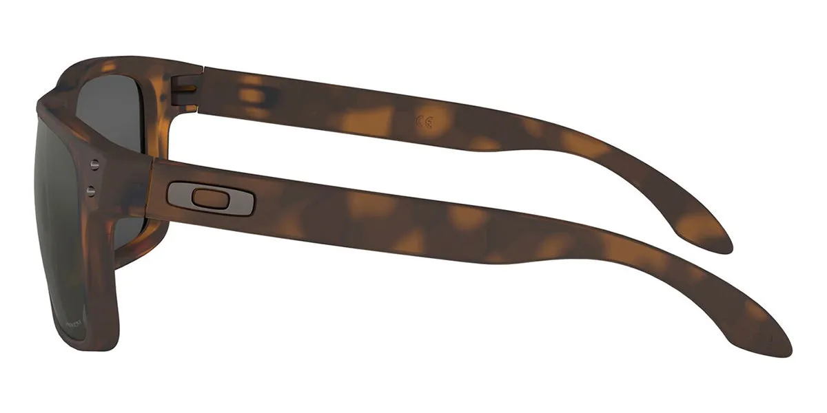 Oakley Holbrook OO9102 F4 Prizm