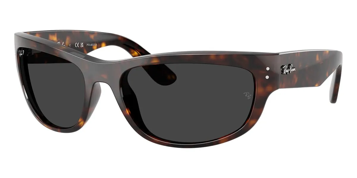 Ray-Ban Mega Balorama RB 2289 902/48 Polarised