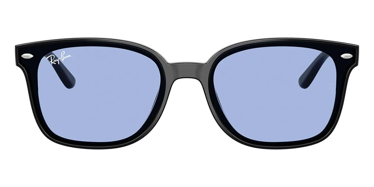 Ray-Ban RB 4461D 601/80
