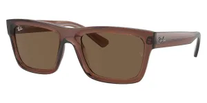 Ray-Ban Warren RB 4396 6678/73