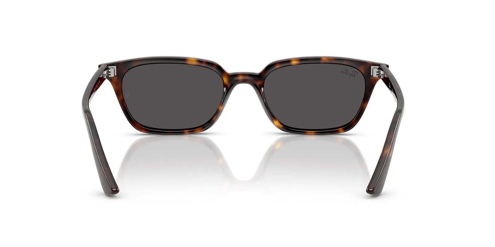 Ray-Ban Zaya RB 4456 1359/87