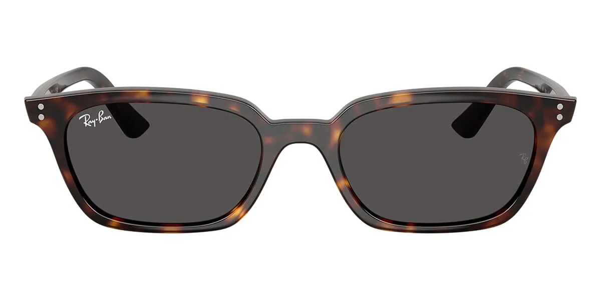 Ray-Ban Zaya RB 4456 1359/87