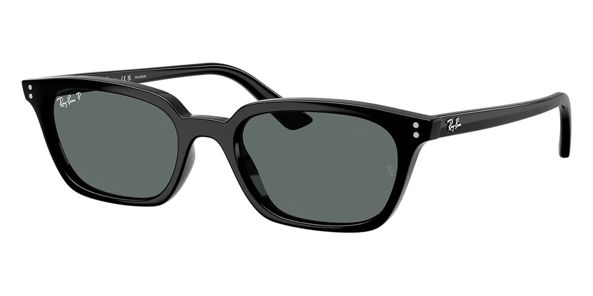 Ray-Ban Zaya RB 4456 6677/81 Polarised